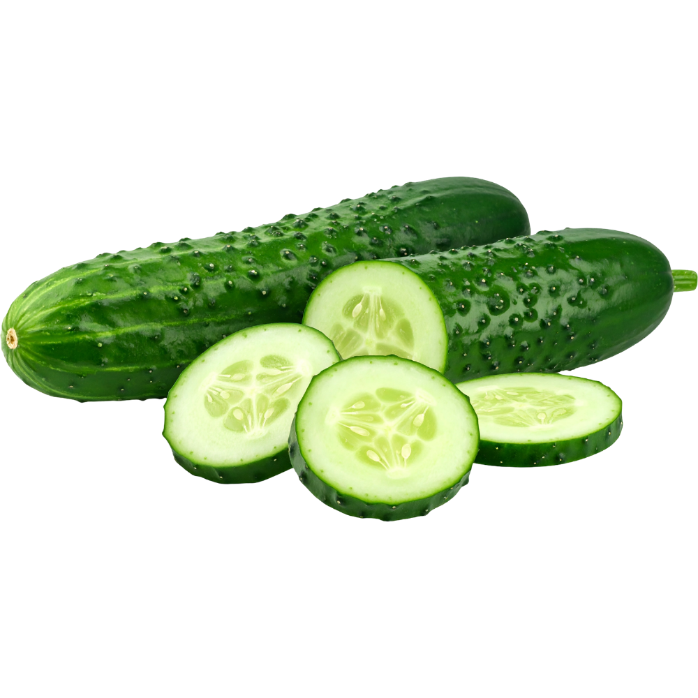 Cucumber